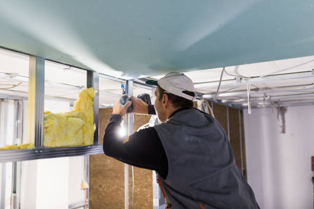 Best Insulation Maintenance and Repair in Lakeview, MI