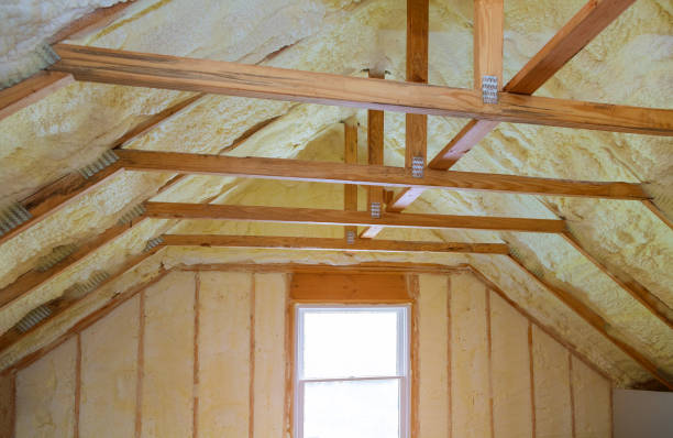 Best DIY Insulation Kits and Guidance in Lakeview, MI