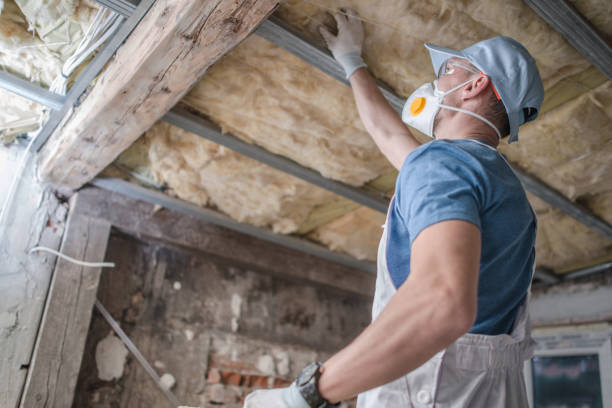 Best Blown-in Insulation in Lakeview, MI