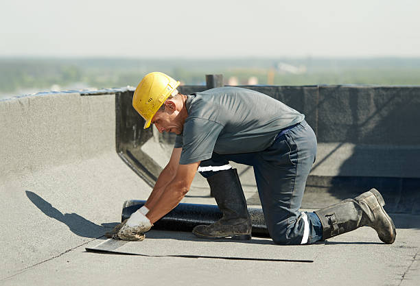 Best Residential Insulation in Lakeview, MI