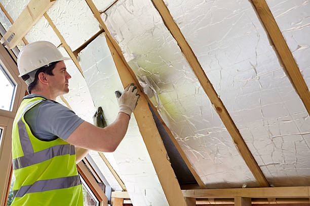 Best Geographic-Specific Insulation Services in Lakeview, MI